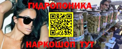 хмурый Бердск