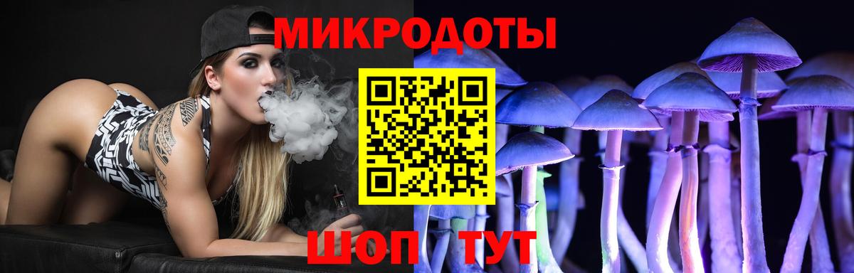 Псилоцибиновые грибы MAGIC MUSHROOMS  Вход с VPN  хочу наркоту  Борзя 